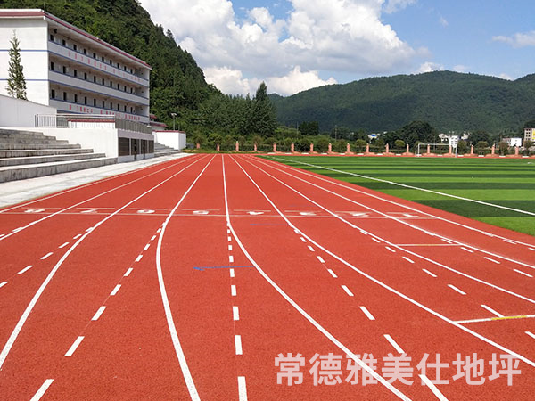 銅仁中學(xué)塑膠跑道、草坪